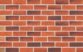 Ciena | Selkirk Brick (380 per pack)