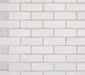 Ivory | Selkirk Concrete Brick (500 per pack)