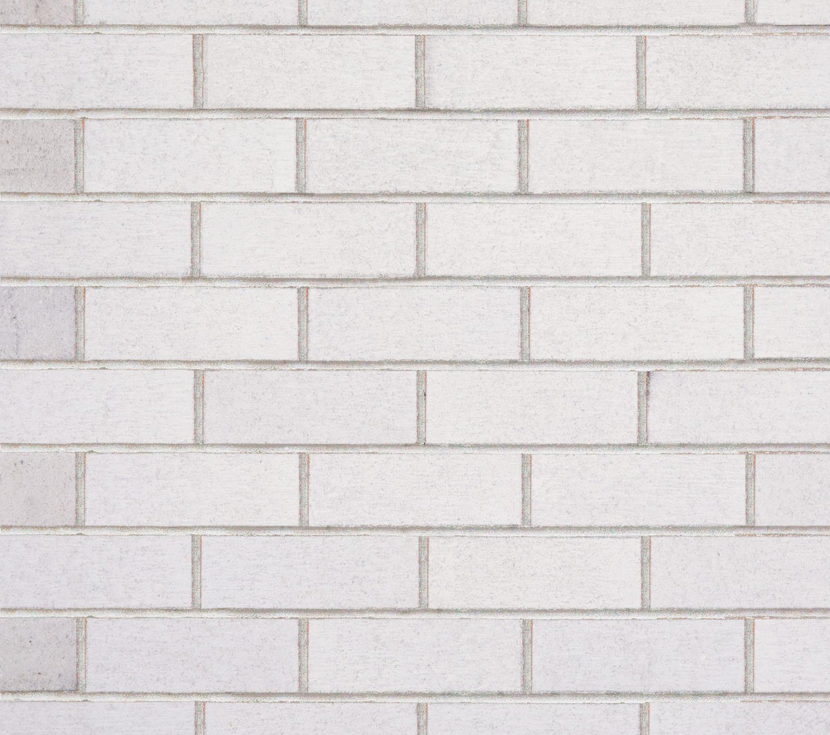 Ivory | Selkirk Concrete Brick (500 per pack)