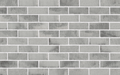 Mist Grey | Selkirk Concrete Brick (500 per pack)