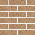 Fawn | Austral Access Brick (520 per pack)