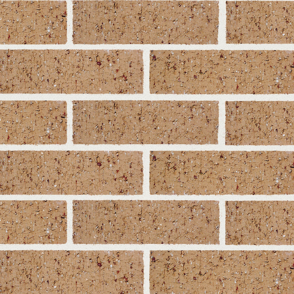 Fawn | Austral Access Brick (520 per pack)