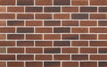 Tannum | Selkirk Brick (380 per pack)
