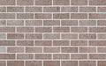 Thunderstorm | Selkirk Brick (380 per pack)